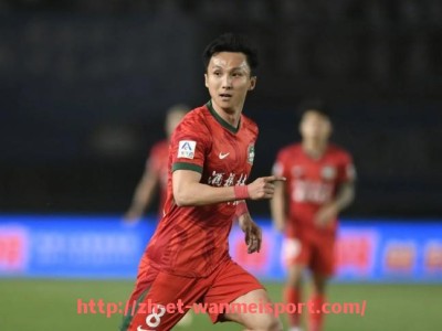 完美体育app-拜耳 德甲球队：拜耳勒沃库森在德甲联赛中的表现与历史