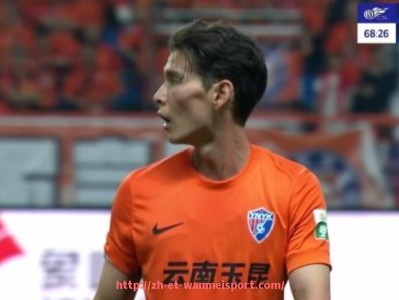 完美体育app-最新一季意甲球队身价数据更新与排行