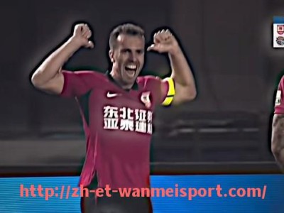 完美体育app-大卫·李是否适合火箭队战术体系探讨